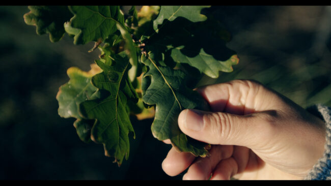 all footage.04_43_14_09.still025